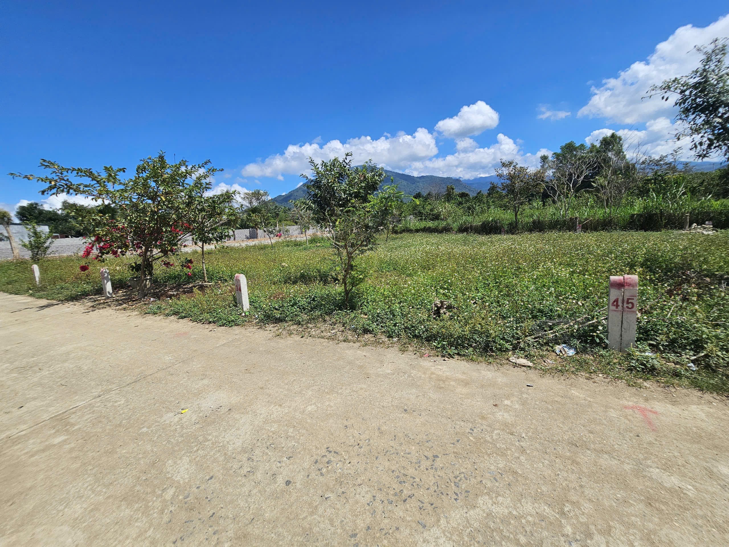 Bán đất Diên Đồng giá rẻ mặt đường bê tông 5m thông ngay nhà văn hoá thôn 3