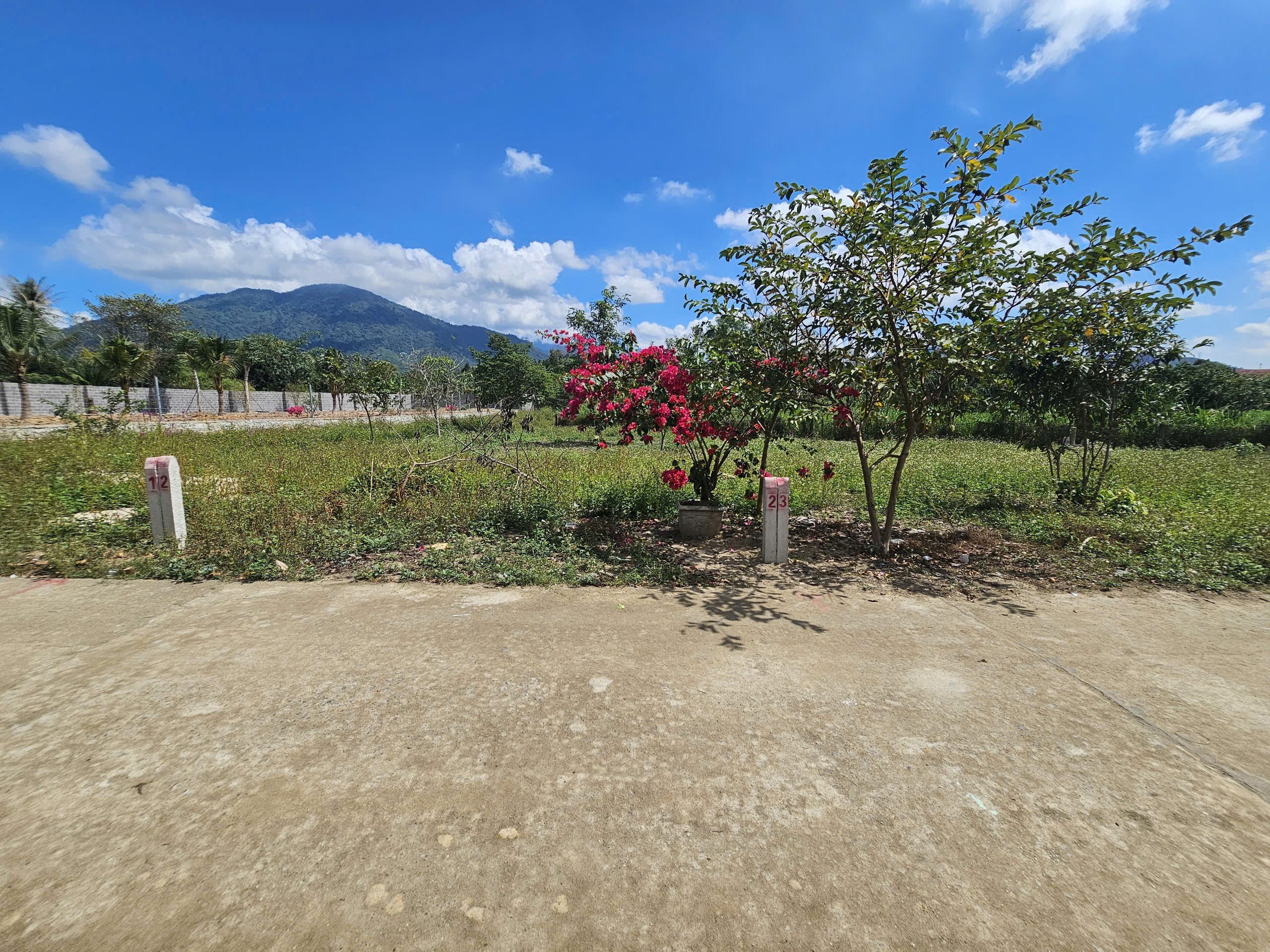 Bán đất Diên Đồng giá rẻ mặt đường bê tông 5m thông ngay nhà văn hoá thôn 5