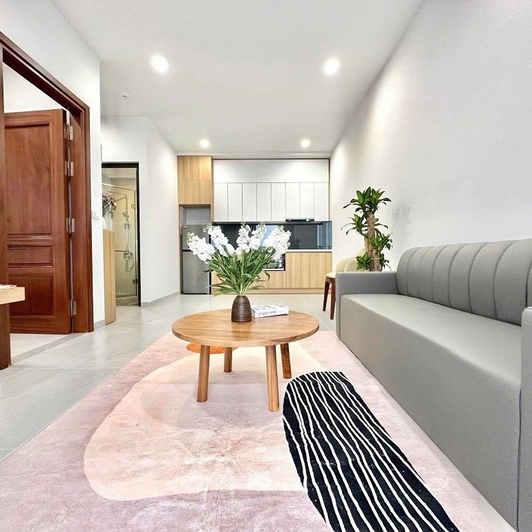 Cho thuê Căn hộ chung cư đường Trịnh Công Sơn, Phường Nhật Tân, Diện tích 50m², Giá 12 Triệu/tháng 7