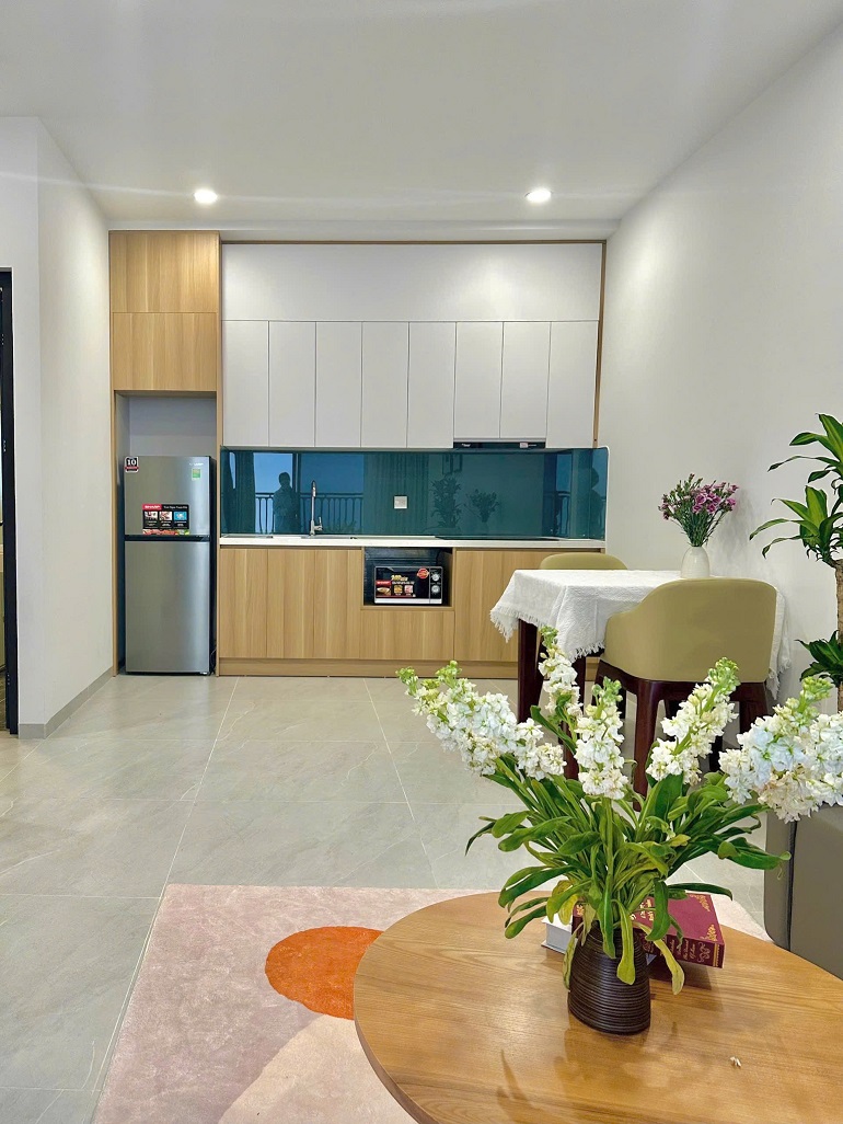 Cho thuê Căn hộ chung cư đường Trịnh Công Sơn, Phường Nhật Tân, Diện tích 50m², Giá 12 Triệu/tháng 10