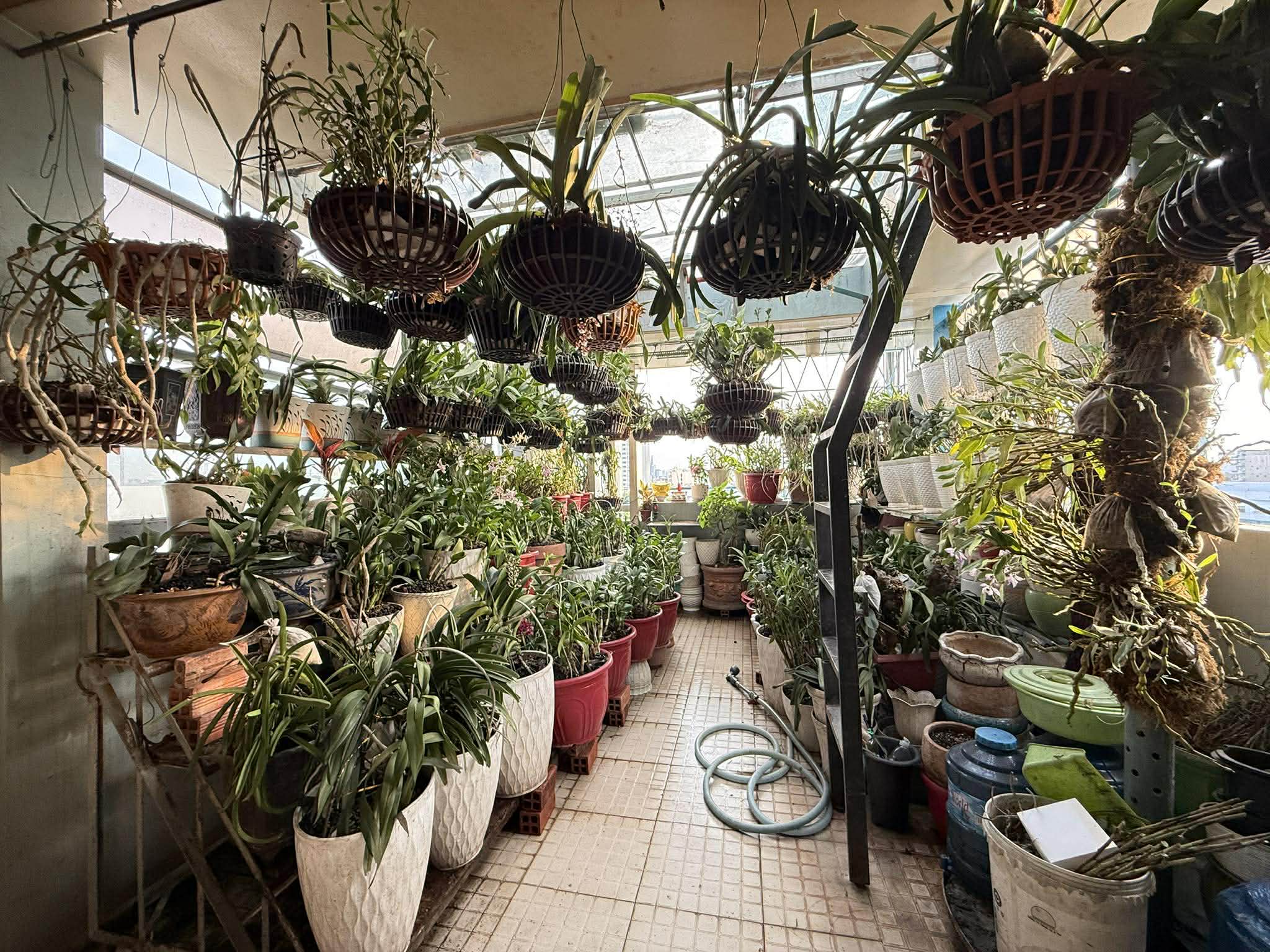 CHDV 7 TẦNG 25 PHÒNG + MẶT BẰNG - D/THU 70TR/THÁNG - SÁT BX MIỀN ĐÔNG 11