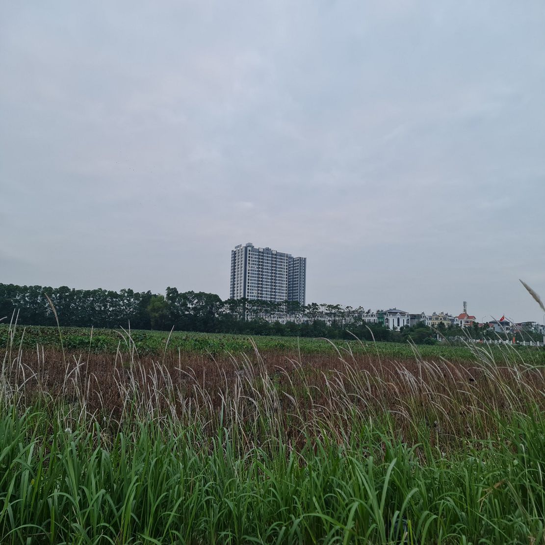 Nhà 5 tầng vừa ở vừa kinh doanh tại trung tâm Trâu Quỳ, GL HN 79m2, mt 10m. Lh 0989894845 Bán nhà 5 2