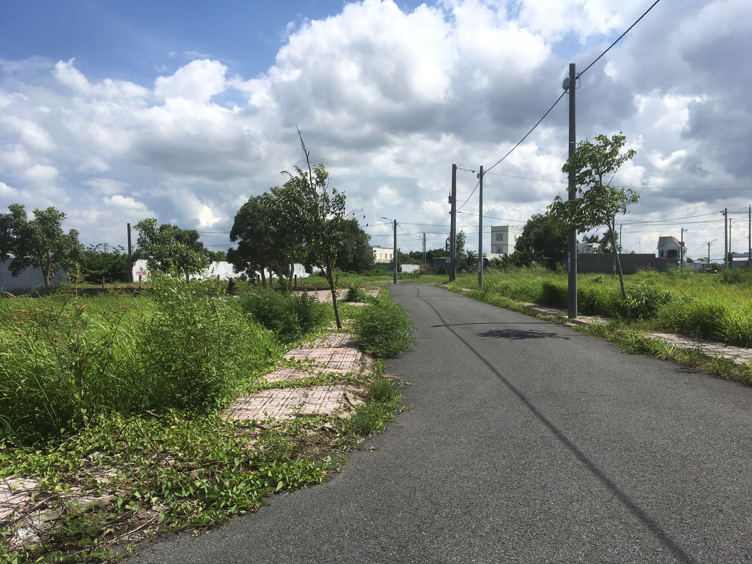 Đất nền kdc Nam Phong 91m2 bán rẻ đầu năm 700tr 3