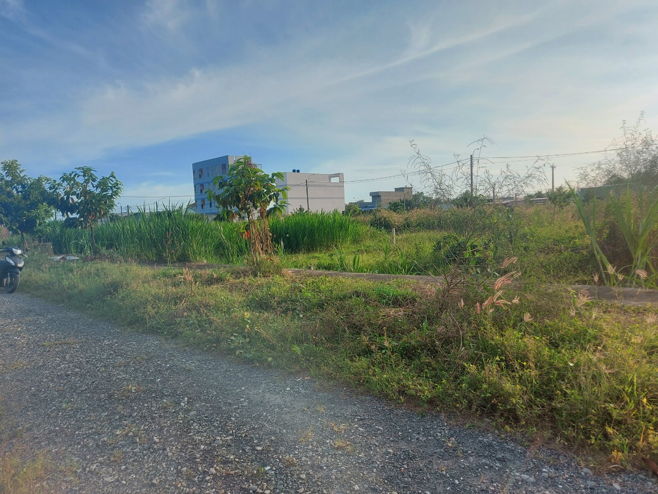 Đất nền 100m2 kdc Phước Đông chủ bán đầu năm 950tr 3