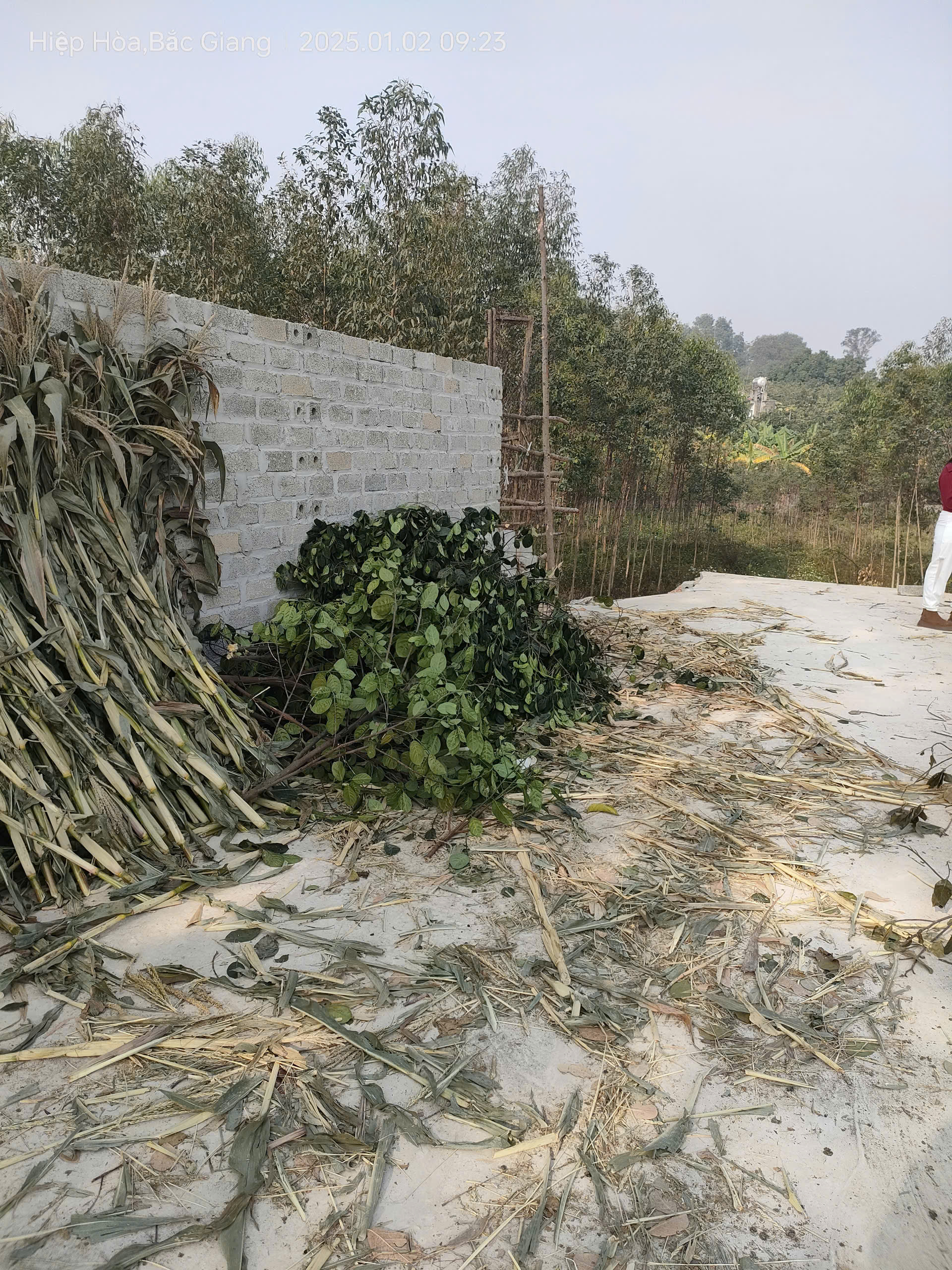 Bán gấp giá rẻ nhà, đất Chương Dương 767m, cấp 4, mặt tiền 14m, 2 tỷ Thường Tín. 3