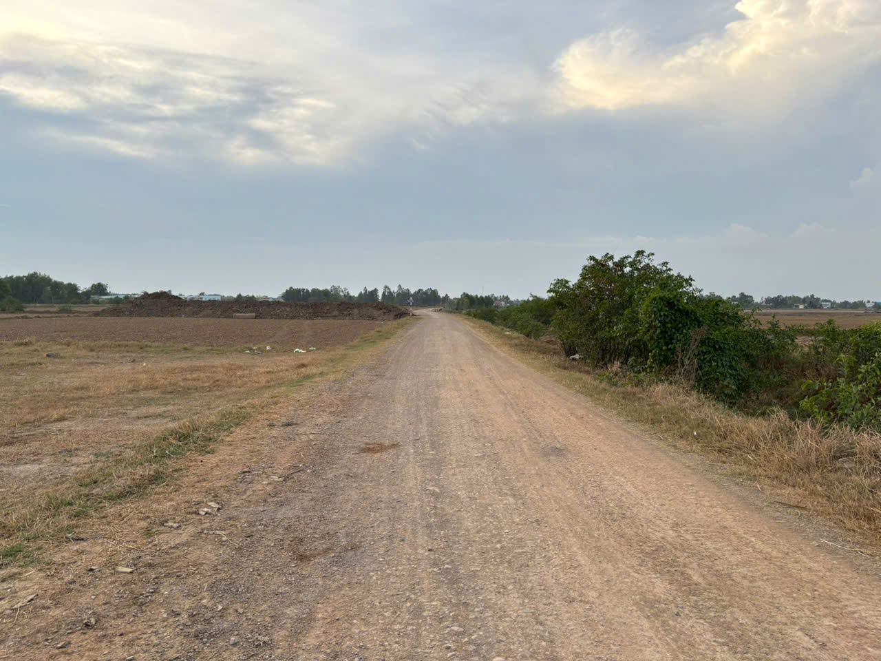 Đất lúa Óc Đảo Long Hựu 879m2 mt đường gtnt 7m giá rẻ 2 tỏi 3