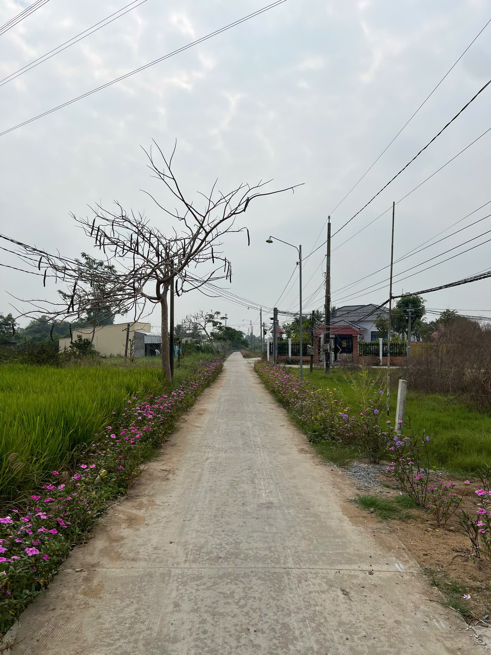 Đất thổ cư 160m2 mt đường xe hơi xã Tân Lân giá rẻ 720tr