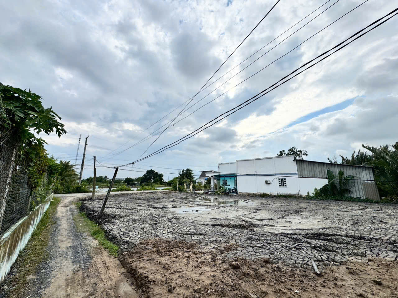 Nền góc 2 mt đường nhựa 7m xã Tân Ân giá rẻ đầu tư 1 tỏi  30tr 4