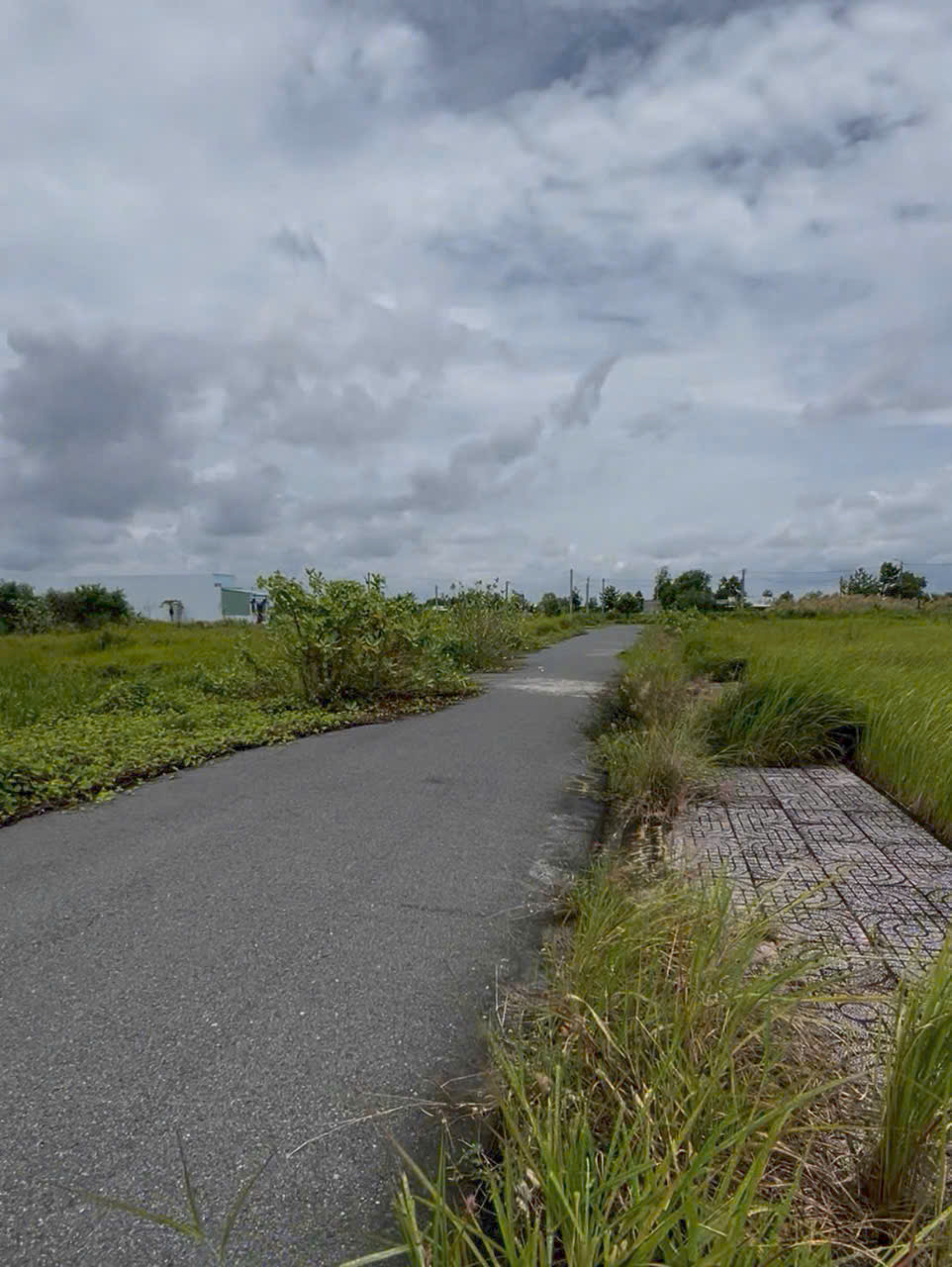 Đất nền kdc Tân Lân 5 hiệp 81m2 chủ cần bán gấp giá rẻ 600tr 3