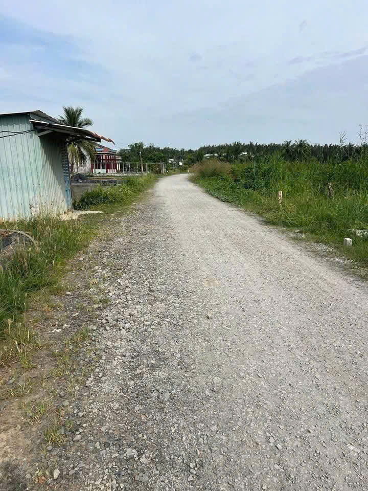 Đất thổ cư 98m2 mt đường 7m xã Tân Chánh giá bao rẻ 450tr 2