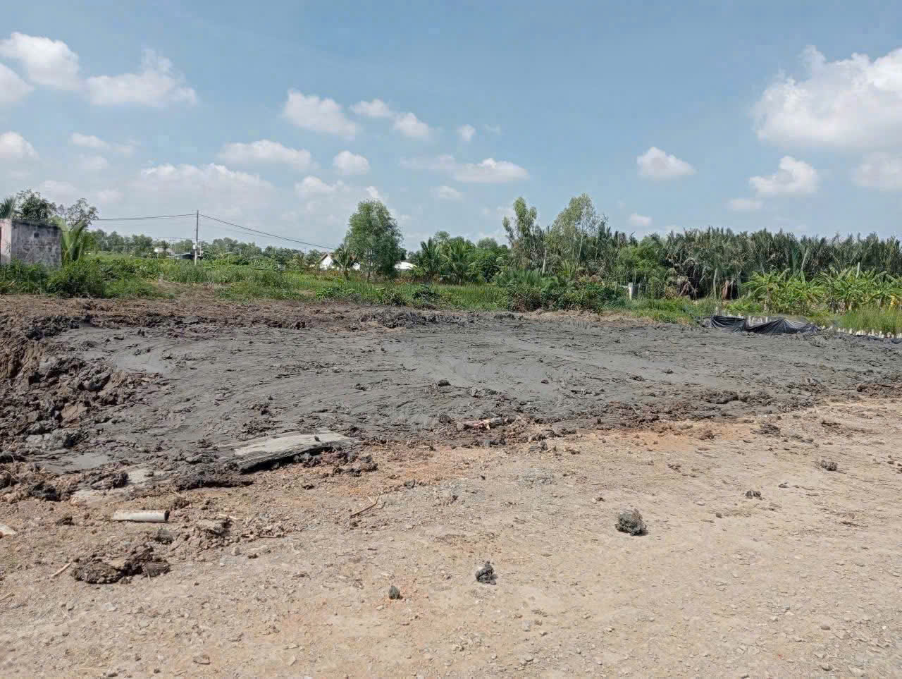 Đất thổ cư 98m2 mt đường 7m xã Tân Chánh giá bao rẻ 450tr 3