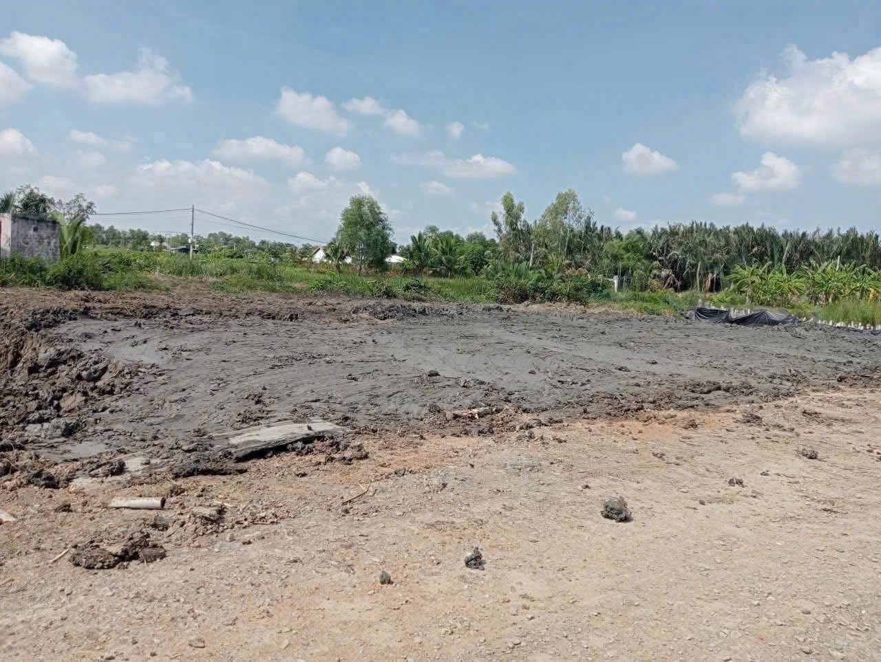 Đất thổ cư 98m2 mt đường 7m xã Tân Chánh giá rẻ đầu tư 450tr 3