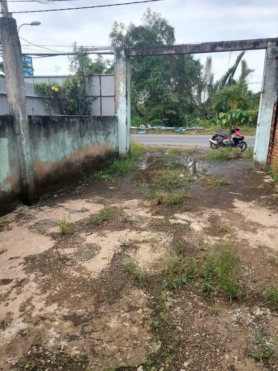 NHÀ NÁT (6x32) MẶT TIỀN THANH NIÊN – BÀ ĐIỂM, HÓC MÔN - GIÁ RẺ HIẾM 4