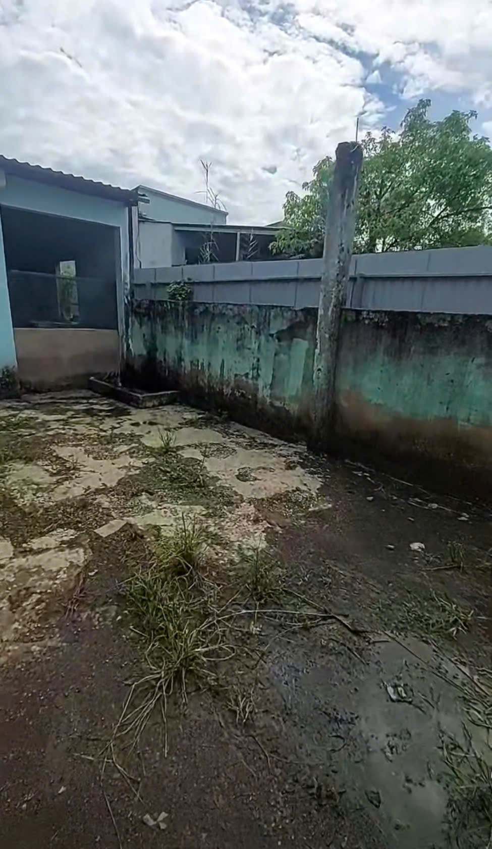 NHÀ NÁT (6x32) MẶT TIỀN THANH NIÊN – BÀ ĐIỂM, HÓC MÔN - GIÁ RẺ HIẾM 5