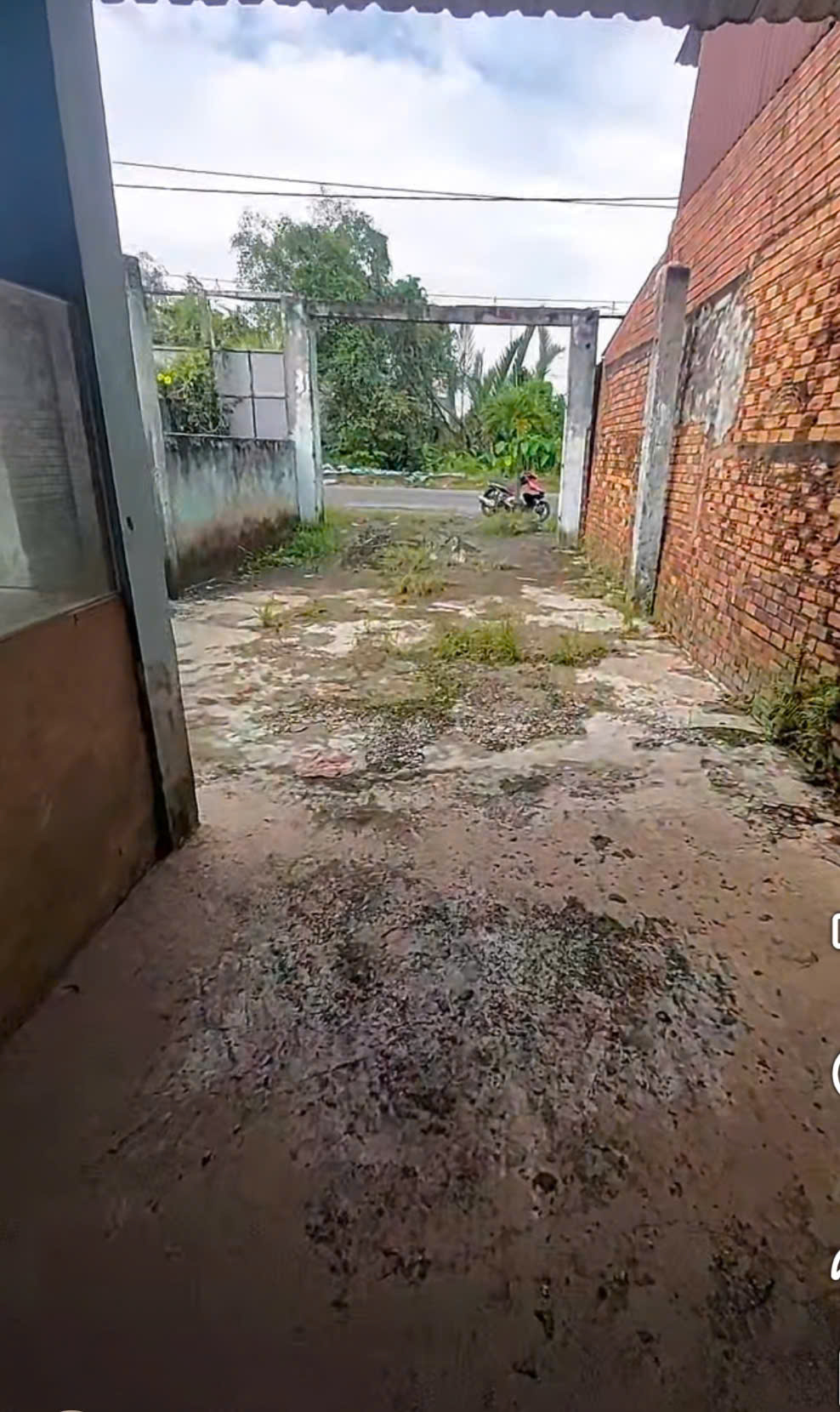 NHÀ NÁT (6x32) MẶT TIỀN THANH NIÊN – BÀ ĐIỂM, HÓC MÔN - GIÁ RẺ HIẾM 3