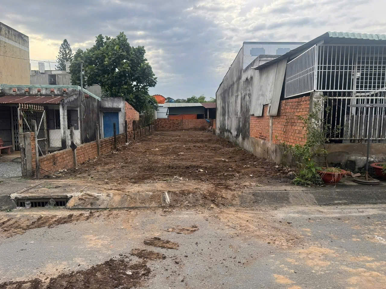 ĐẤT MẶT TIỀN NHỰA PHÙNG THỊ CHUYỆN – THỚI TAM THÔN, HÓC MÔN 3