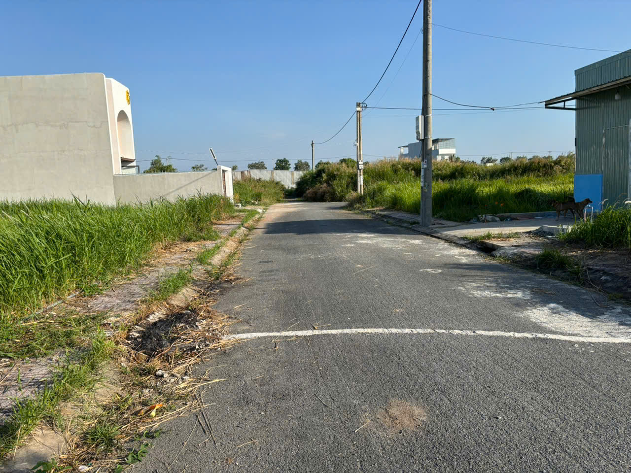 Đất nền kdc Nam Phong 112m2 Chủ mở bán đầu năm giá rẻ 700tr 3