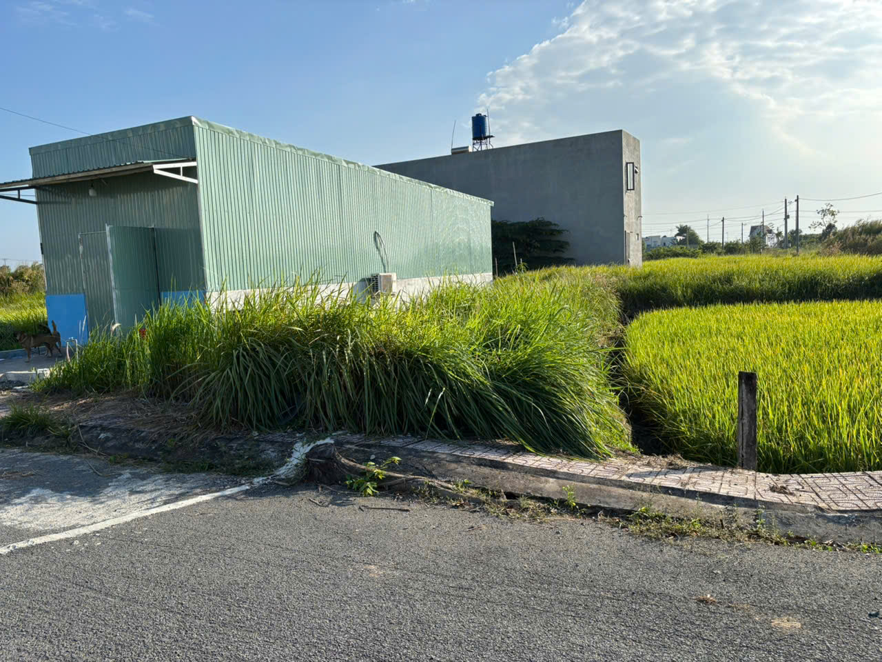 Đất nền kdc Nam Phong 112m2 chủ cần bán gấp 700tr tl Chủ 4