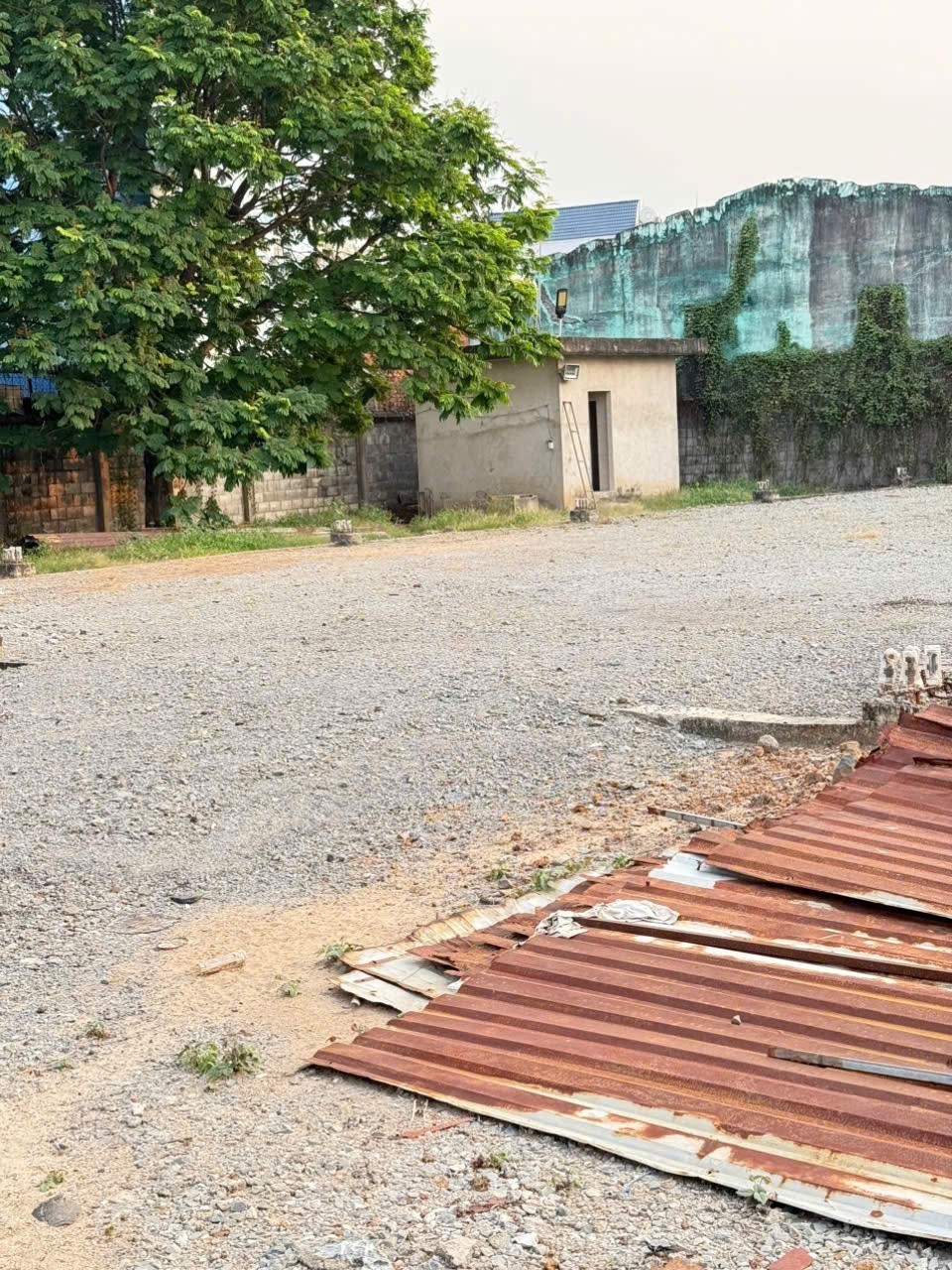 CẦN BÁN GẤP LÔ ĐẤT MẶT TIỀN VÕ THỊ HỒI – XUÂN THỚI ĐÔNG, HÓC MÔN