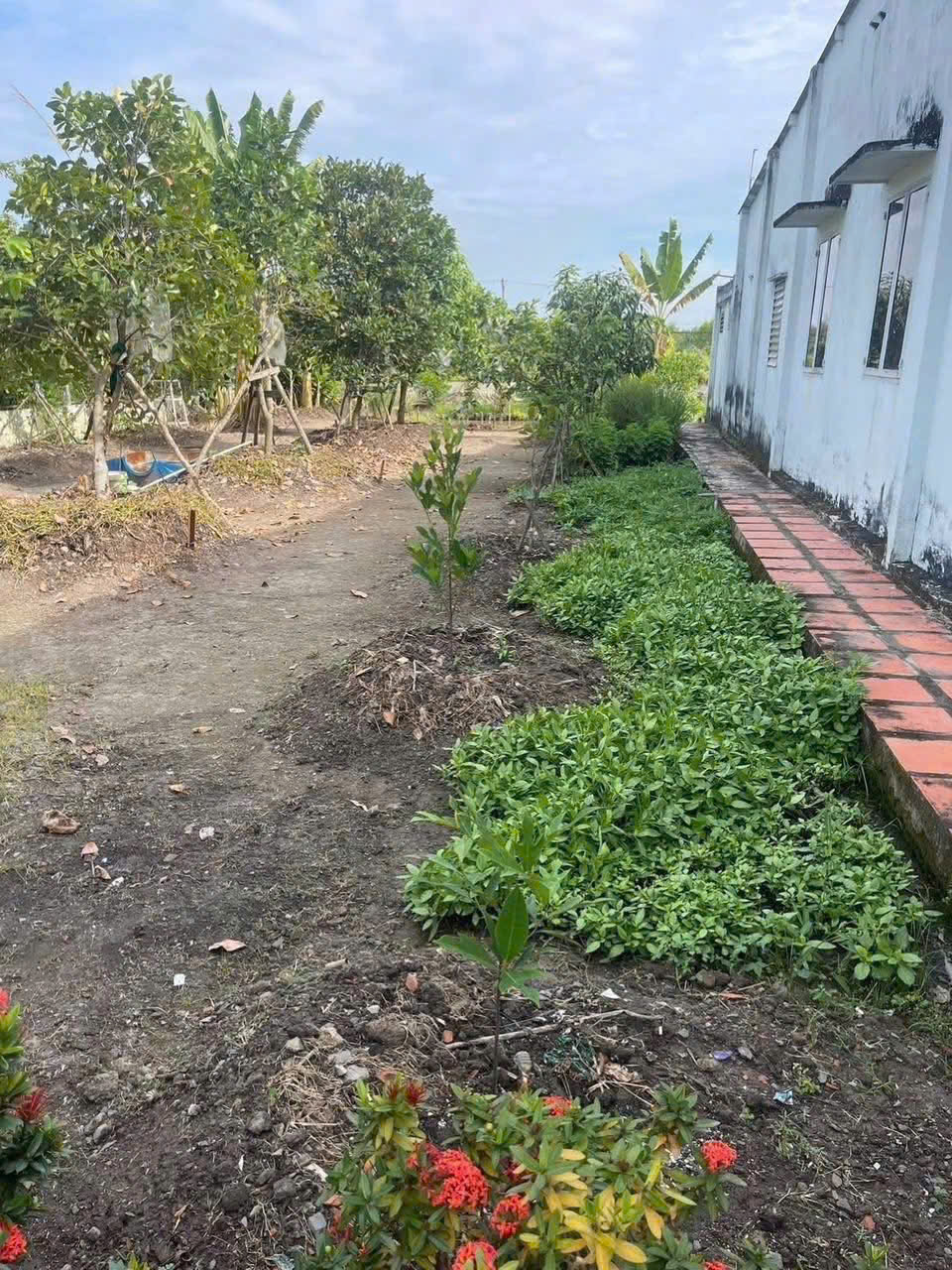 SÁT VINHOMES HÓC MÔN – NHÀ VƯỜN THỔ CƯ – GIÁ HỜI HIẾM CÓ - RẺ HƠN CỦ CHI 3