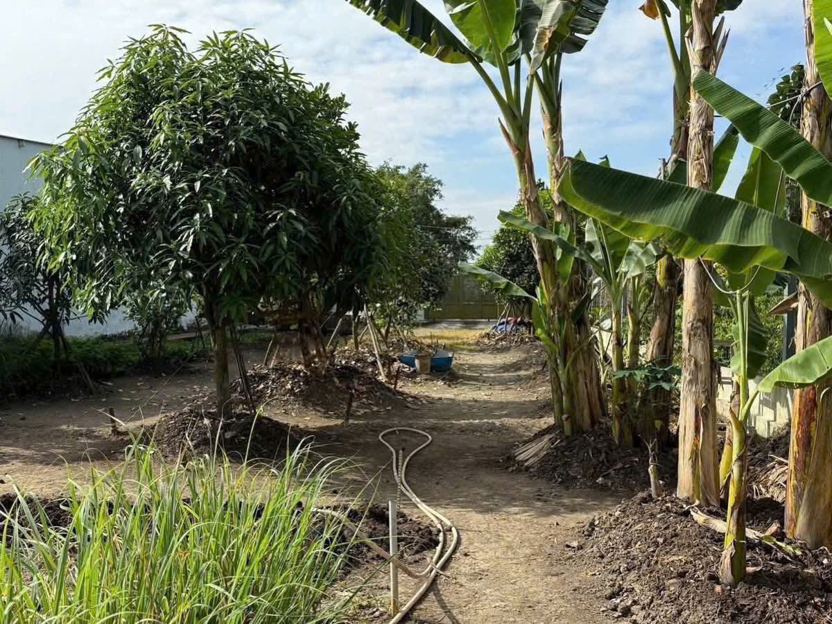 SÁT VINHOMES HÓC MÔN – NHÀ VƯỜN THỔ CƯ – GIÁ HỜI HIẾM CÓ - RẺ HƠN CỦ CHI 4