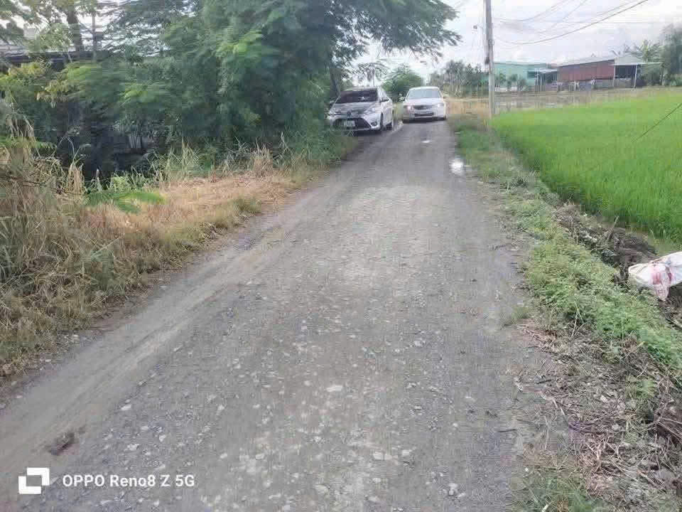 Bán đất thổ cư đường beton xã Tân Lân , Cần Đước dt 1000m2 3,699 tỷ