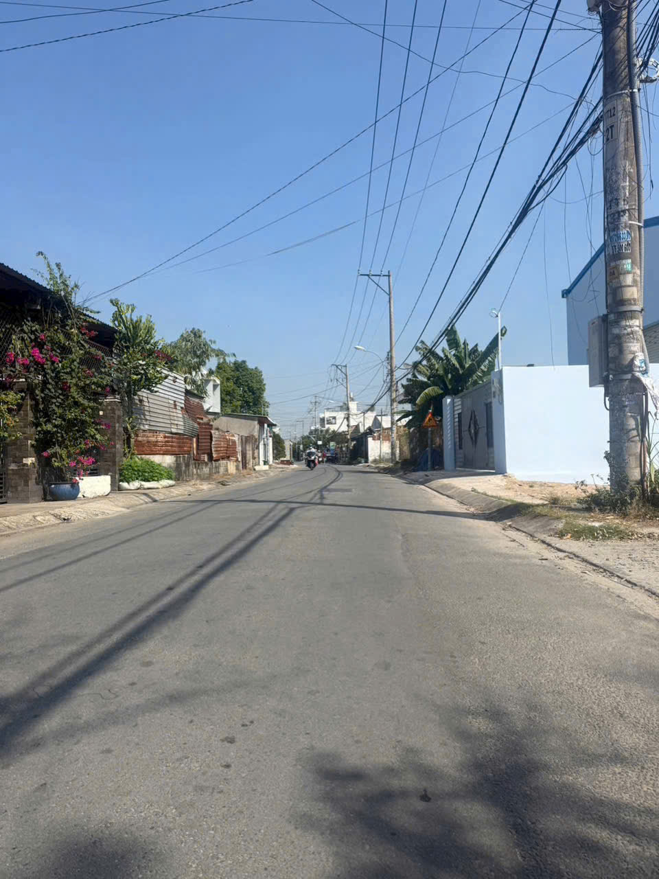 Bán đất mt Phùng Thị Chuyện , Thới Tam Thôn , Hóc Môn dt 226m2 ( 144,7m2 thổ ) giá 7,3 tỷ 3