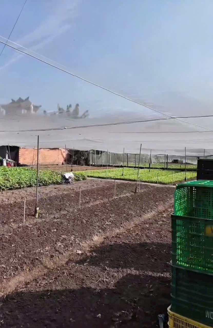 CCG ĐẤT TÂN HIỆP HÓC MÔN – SÁT CẠNH KHU BIỆT THỰ – GIÁ CHỈ 10TR/M² 5