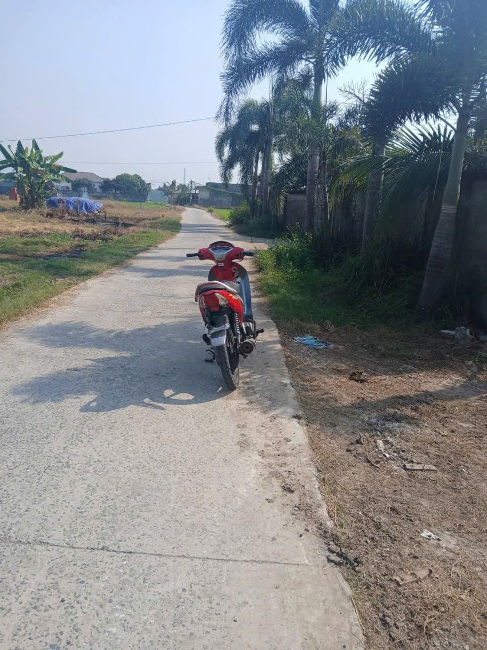 Bán nhà vườn nhỏ xinh ở Nhựt Chánh , Bến Lức tdt 900m2 ( 115m2 thổ) giá 2,2 tỷ