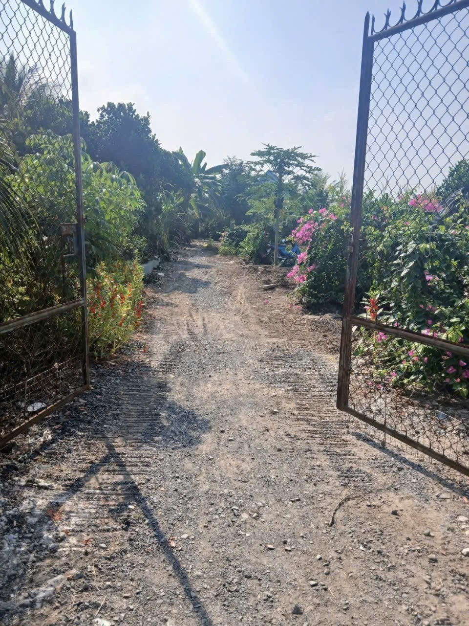 Bán nhà vườn nhỏ xinh ở Nhựt Chánh , Bến Lức tdt 900m2 ( 115m2 thổ) giá 2,2 tỷ 4