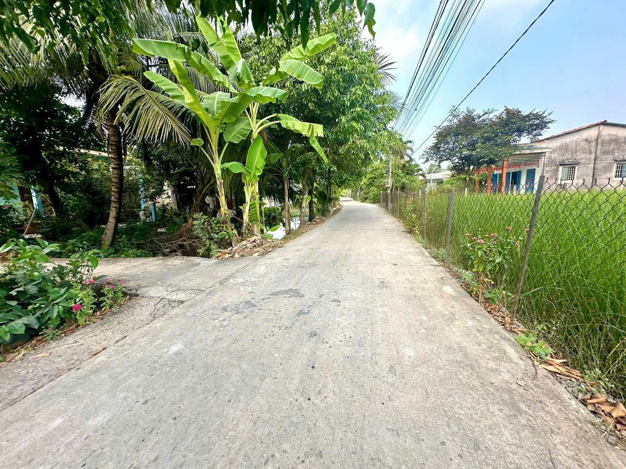 Bán đất thổ cư đường beton xe oto Long Định , Cần Đước dt 116,5m2 giá giảm còn 800 triệu 2