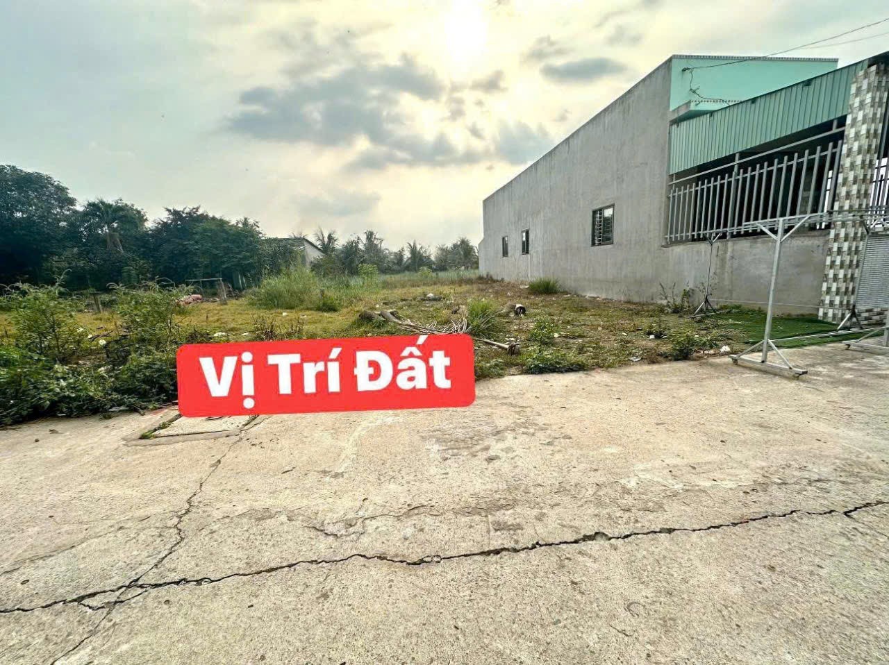 Bán đất thổ cư đường beton xe oto Long Định , Cần Đước dt 116,5m2 giá giảm còn 800 triệu 4