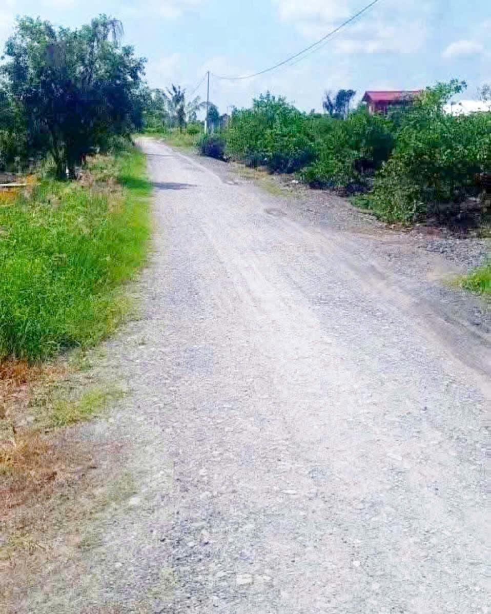 Bán đất vườn đường đá xanh oto xã Thạnh Hòa , Bến Lức dt 1000m2 giá 680 triệu 3