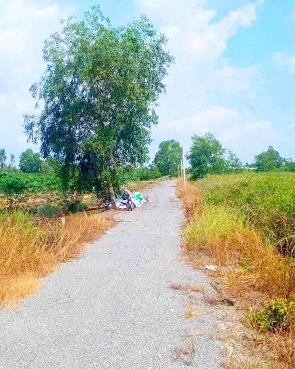 Bán đất vườn đường đá xanh oto xã Thạnh Hòa , Bến Lức dt 1000m2 giá 680 triệu 4