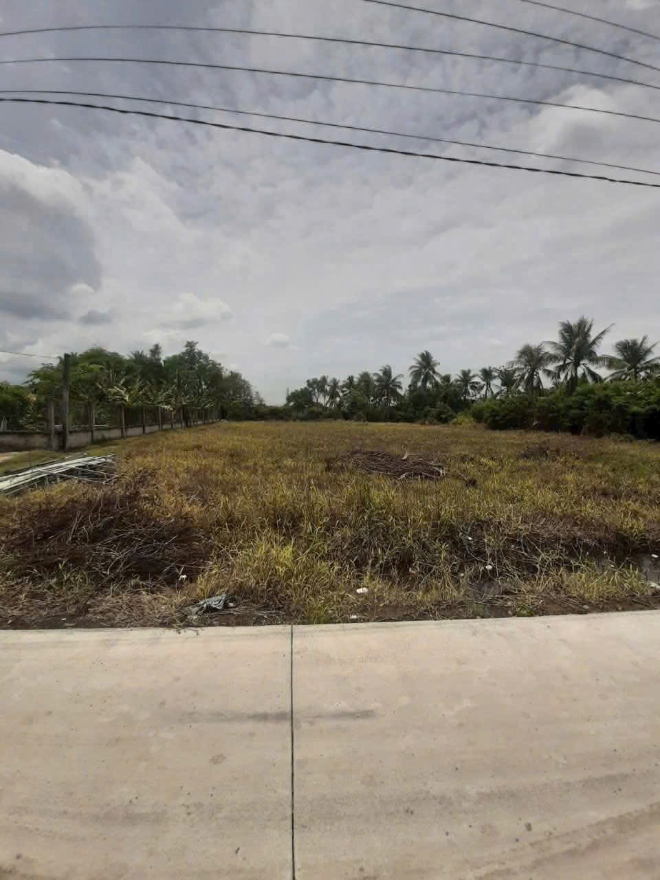 Bán đất Tân Trạch , Cần Đước tdt 1085m2 ( 239m2 thổ cư) thích hợp xây biệt thự, nhà vườn giá 2,45t 4