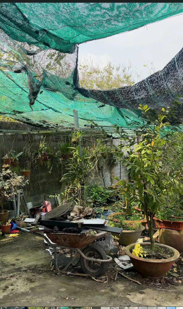 Bán nhà hẻm đường nhựa tỉnh lộ 8 , xã Hòa Phú tdt 650m2 ( 300m2 thổ ) 3pn, 2wc giá 7,9 tỷ 7