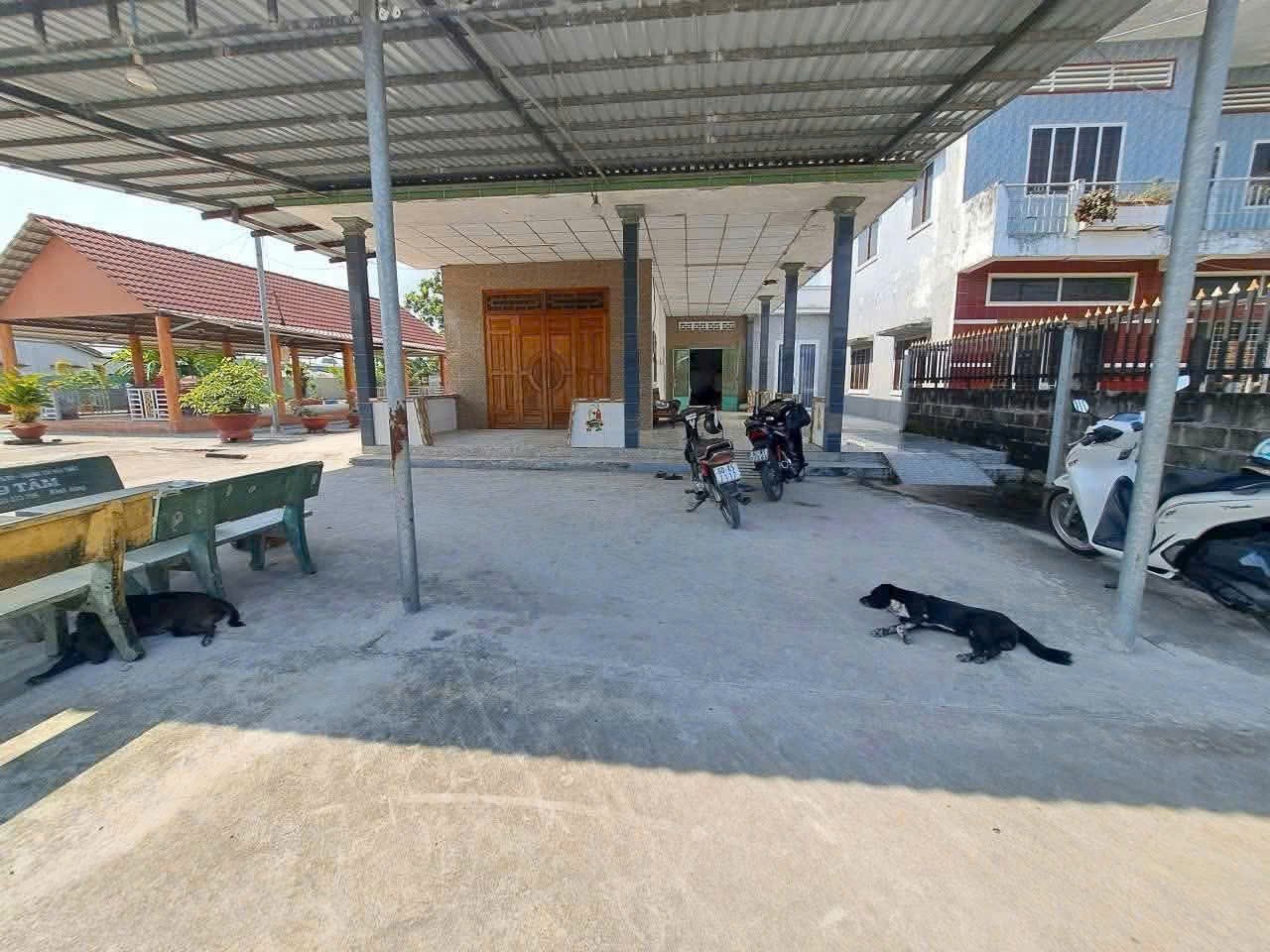 Bán nhà sân rộng ở KP7 , thị trấn Bến Lức dt 636m2 full thổ , 3pn ,2wc giá giảm còn 4,8 tỷ 3