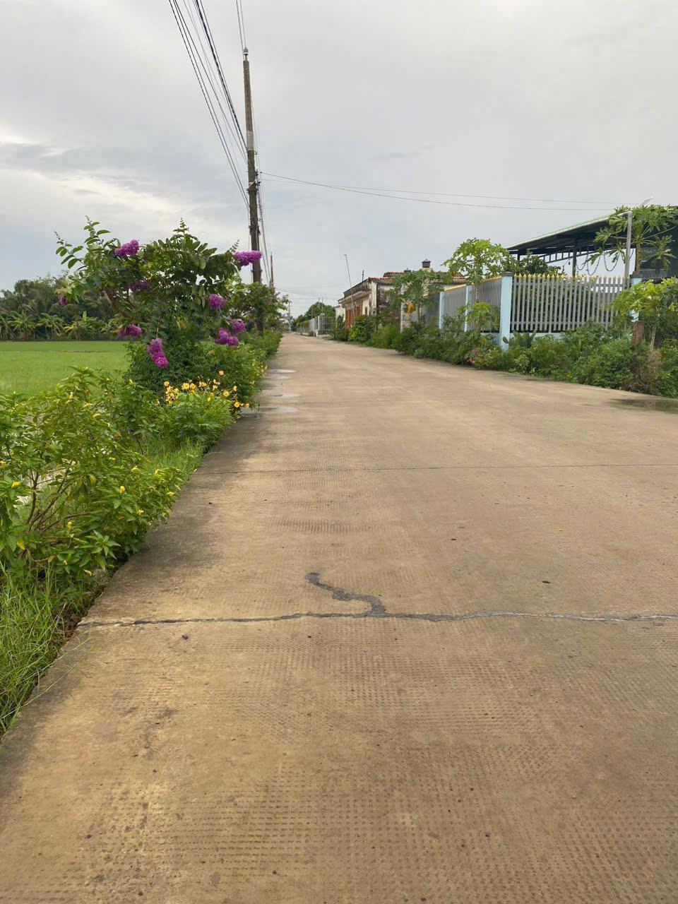 Bán 4 lô thổ cư liền kề mt đường Nguyễn Thị Điểm , xã Tân Bình ,Tân Trụ dt 215m2 giá 1 tỷ 1 lô 2