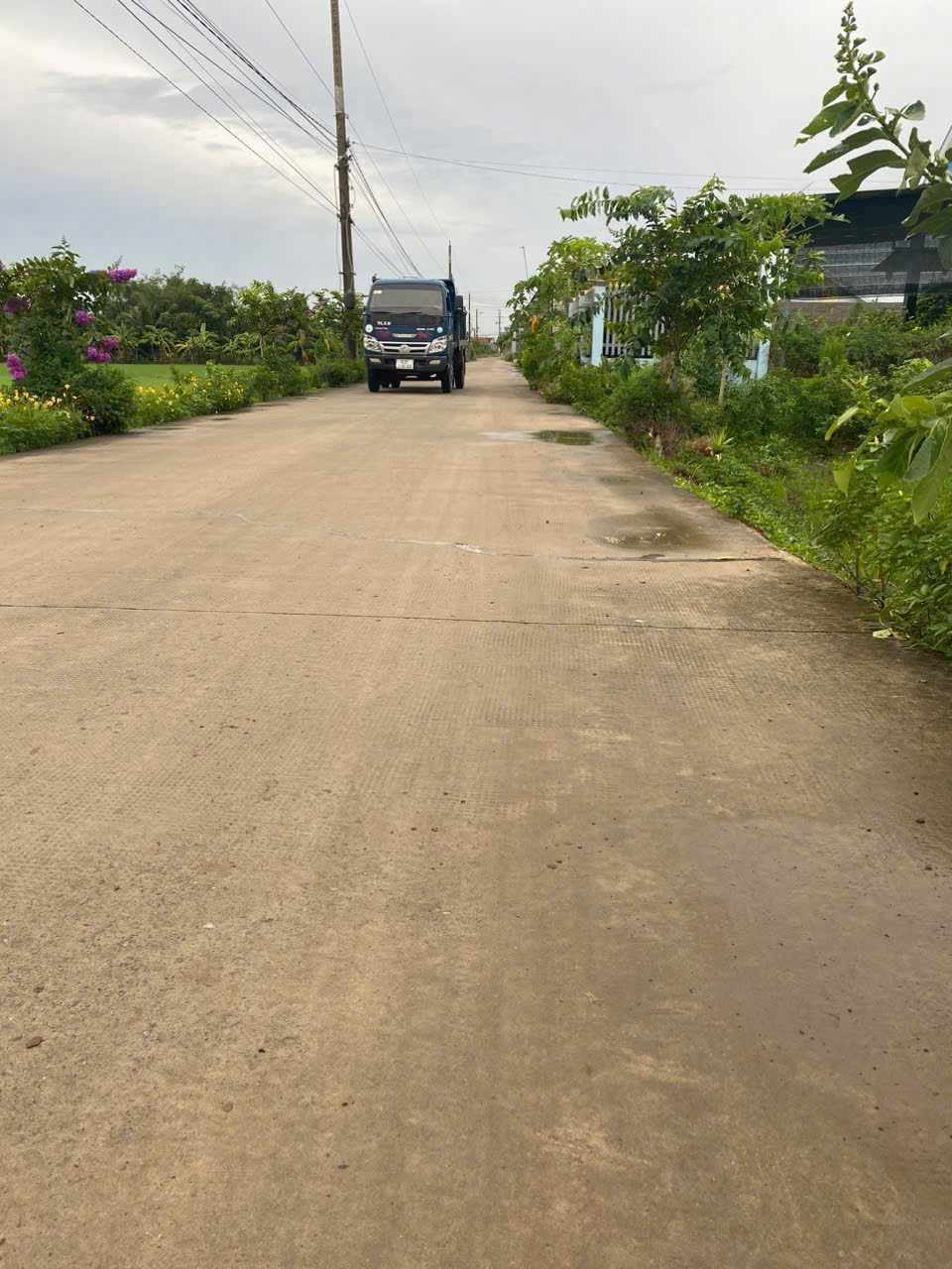 Bán 4 lô thổ cư liền kề mt đường Nguyễn Thị Điểm , xã Tân Bình ,Tân Trụ dt 215m2 giá 1 tỷ 1 lô 4