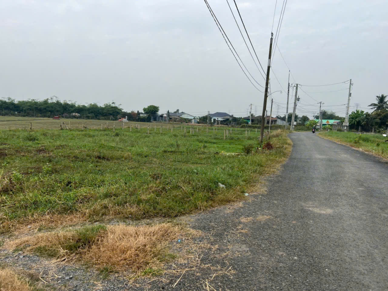 Bán đất thổ cư 2 mt đường Nguyễn Văn Dư , xã Bình lãng , Tân Trụ dt 450m2 giá 2,39 tỷ 2