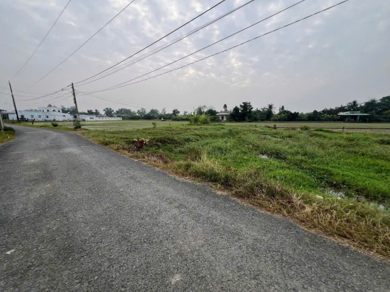 Bán đất thổ cư 2 mt đường Nguyễn Văn Dư , xã Bình lãng , Tân Trụ dt 450m2 giá 2,39 tỷ 3