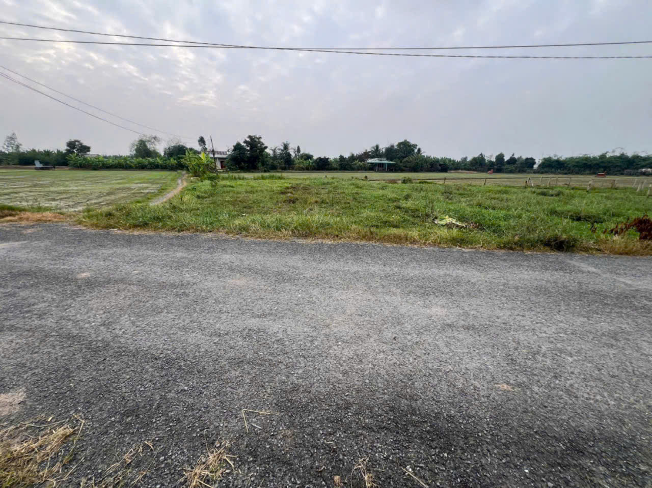 Bán đất thổ cư 2 mt đường Nguyễn Văn Dư , xã Bình lãng , Tân Trụ dt 450m2 giá 2,39 tỷ 5