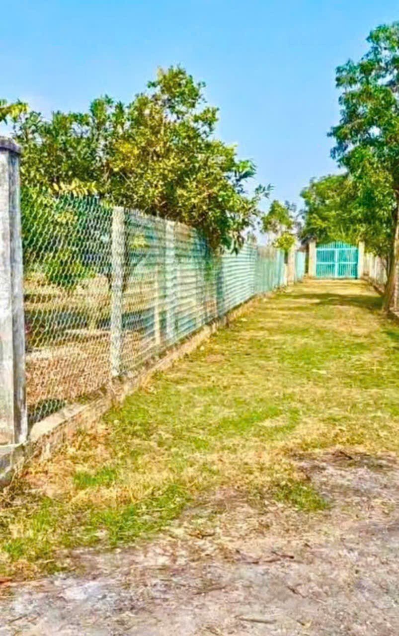 Bán gấp lô đất xã Hiệp Hòa tdt 6500m2 ( 300m2 thổ ) đường đá xanh 5m giá 5,5 tỷ 2