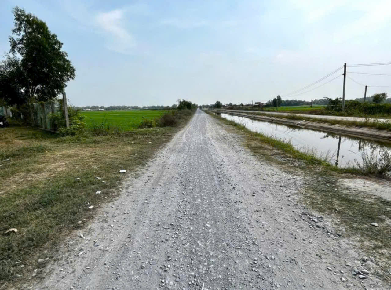 Bán gấp lô đất xã Hiệp Hòa tdt 6500m2 ( 300m2 thổ ) đường đá xanh 5m giá 5,5 tỷ 9