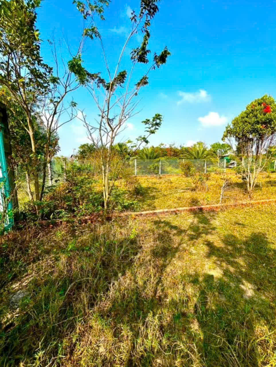 Bán gấp lô đất xã Hiệp Hòa tdt 6500m2 ( 300m2 thổ ) đường đá xanh 5m giá 5,5 tỷ 10