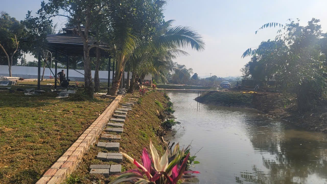 Cần bán Đất đường Quốc Lộ 12B, Xã Hợp Kim, Diện tích 50m², Giá 340 Triệu 2