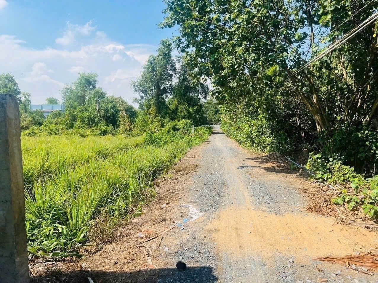 Bán đất vườn có tường rào bao quanh view kênh ở xã Bình Đức , Bến Lức dt 500m2 giá 950 triệu 2