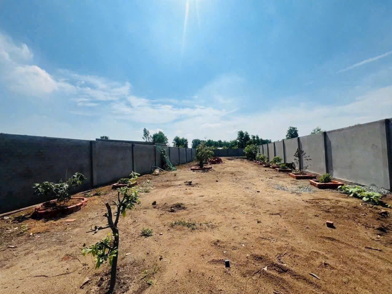 Bán đất vườn có tường rào bao quanh view kênh ở xã Bình Đức , Bến Lức dt 500m2 giá 950 triệu 3