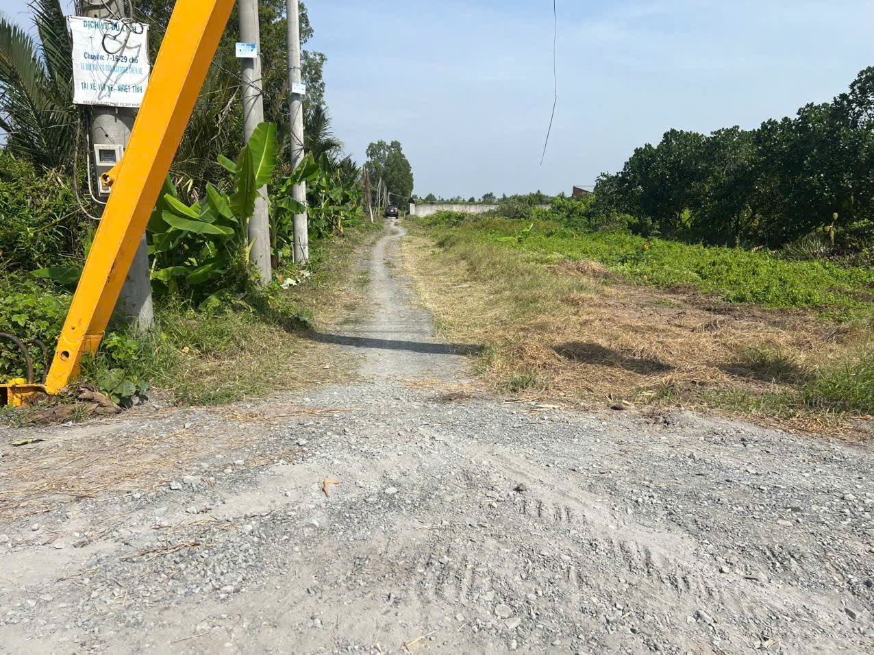 Bán đất vườn có tường rào bao quanh view kênh ở xã Bình Đức , Bến Lức dt 500m2 giá 950 triệu 5