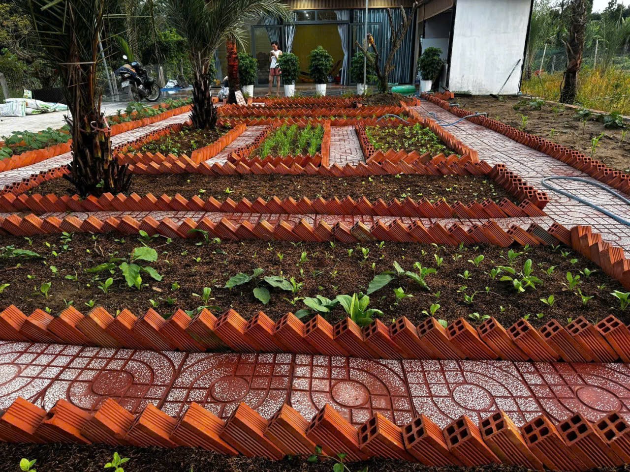 Bán nhà vườn thị trấn Bến Lức tdt 1191m2 đầy đủ tiện nghi giá 4,2 tỷ 6